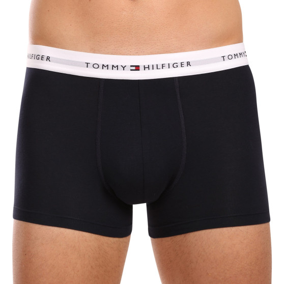 3PACK vīriešu bokseru šorti Tommy Hilfiger daudzkrāsaini (UM0UM02768 0Y2)