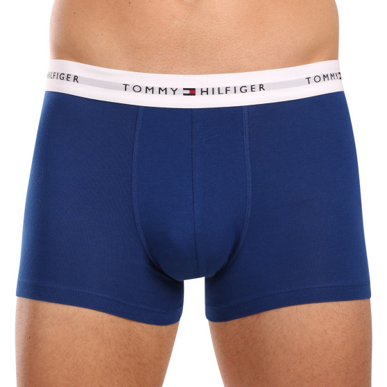 3PACK vīriešu bokseru šorti Tommy Hilfiger daudzkrāsaini (UM0UM02761 0XZ)