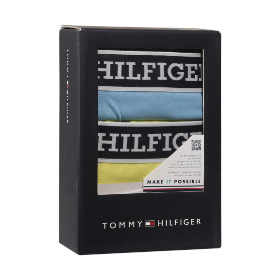 3PACK vīriešu bokseru šorti Tommy Hilfiger daudzkrāsaini (UM0UM03185 0UM)