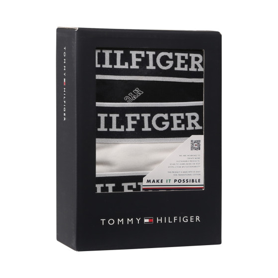 3PACK vīriešu bokseru šorti Tommy Hilfiger daudzkrāsaini (UM0UM03284 0YY)