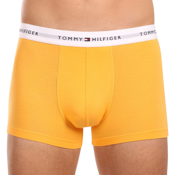 3PACK vīriešu bokseru šorti Tommy Hilfiger daudzkrāsaini (UM0UM02761 0VI)