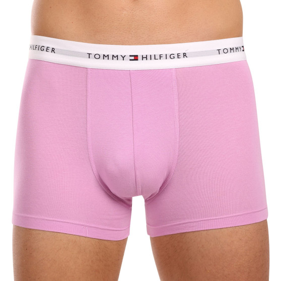 3PACK vīriešu bokseru šorti Tommy Hilfiger daudzkrāsaini (UM0UM02761 0VI)