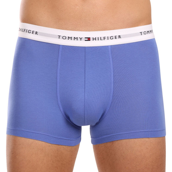 3PACK vīriešu bokseru šorti Tommy Hilfiger daudzkrāsaini (UM0UM02761 0VI)