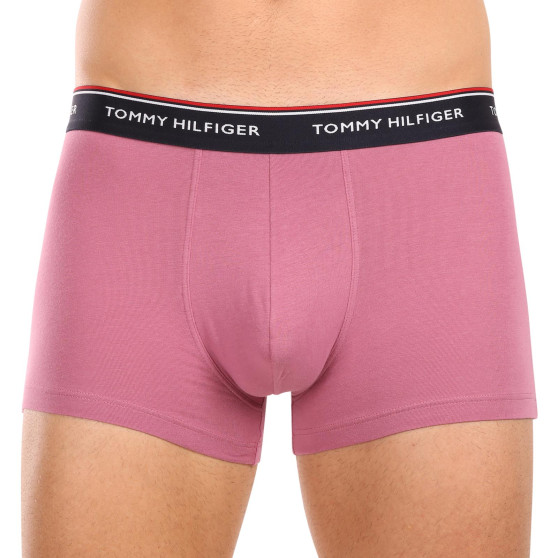 3PACK vīriešu bokseru šorti Tommy Hilfiger daudzkrāsaini (1U87903842 0XV)