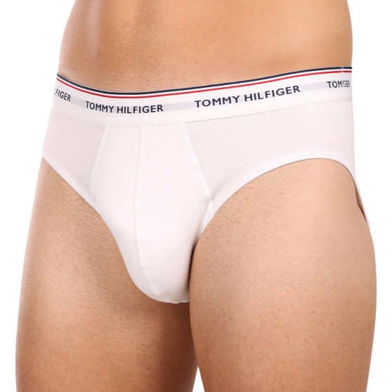 3PACK vīriešu apakšbikses Tommy Hilfiger daudzkrāsains (1U87903766 004)