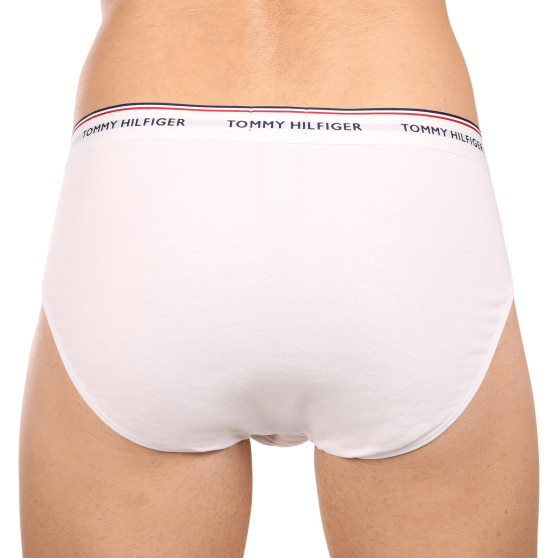 3PACK vīriešu apakšbikses Tommy Hilfiger daudzkrāsains (1U87903766 004)