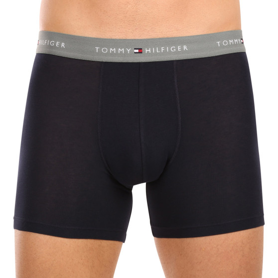 3PACK vīriešu bokseru šorti Tommy Hilfiger tumši zili (UM0UM02765 0VH)