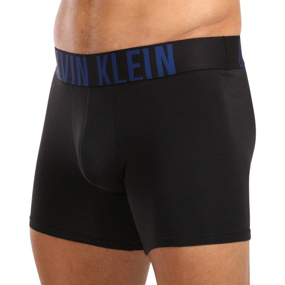 3PACK vīriešu bokseru šorti Calvin Klein melni (NB3609A-LXT)