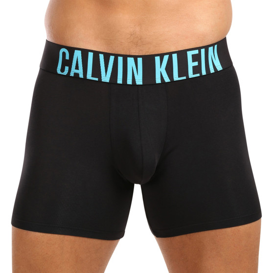 3PACK vīriešu bokseru šorti Calvin Klein melni (NB3609A-LXT)