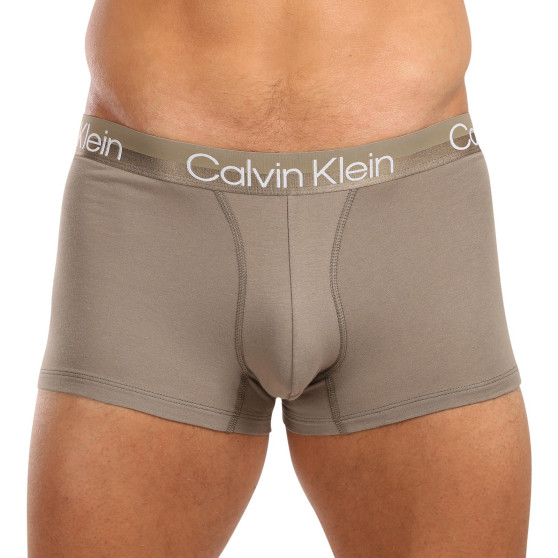 3PACK vīriešu bokseru šorti Calvin Klein daudzkrāsaini (NB2970A-N2N)