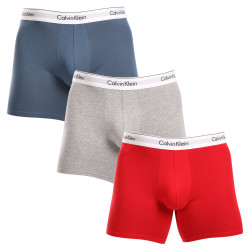 3PACK vīriešu bokseru šorti Calvin Klein daudzkrāsaini (NB2381A-N2I)