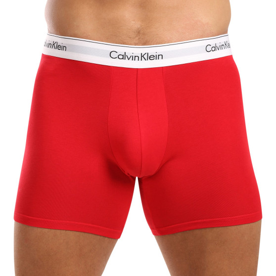 3PACK vīriešu bokseru šorti Calvin Klein daudzkrāsaini (NB2381A-N2I)