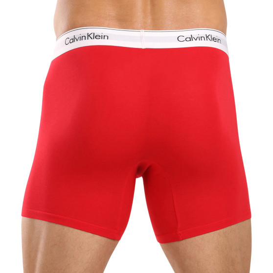 3PACK vīriešu bokseru šorti Calvin Klein daudzkrāsaini (NB2381A-N2I)