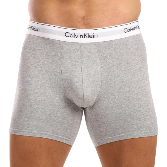 3PACK vīriešu bokseru šorti Calvin Klein daudzkrāsaini (NB2381A-N2I)