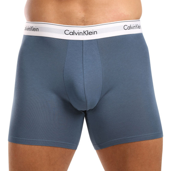 3PACK vīriešu bokseru šorti Calvin Klein daudzkrāsaini (NB2381A-N2I)