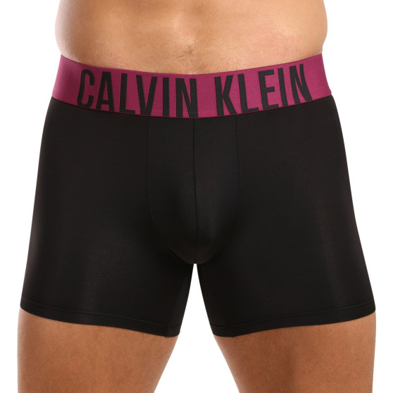 3PACK vīriešu bokseru šorti Calvin Klein melni (NB3612A-MDL)