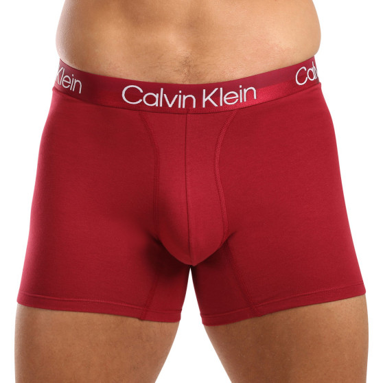 3PACK vīriešu bokseru šorti Calvin Klein daudzkrāsaini (NB2971A-MCI)