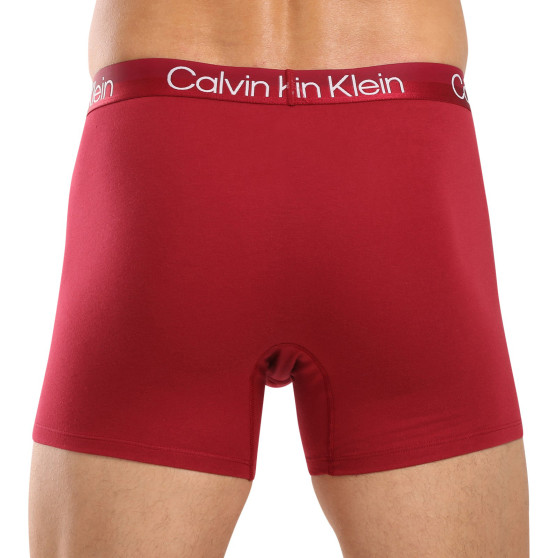 3PACK vīriešu bokseru šorti Calvin Klein daudzkrāsaini (NB2971A-MCI)