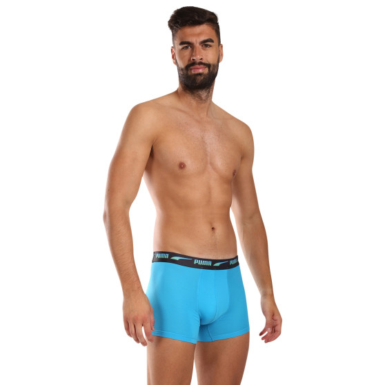 2PACK vīriešu bokseru šorti Puma daudzkrāsaini (701225879 002)