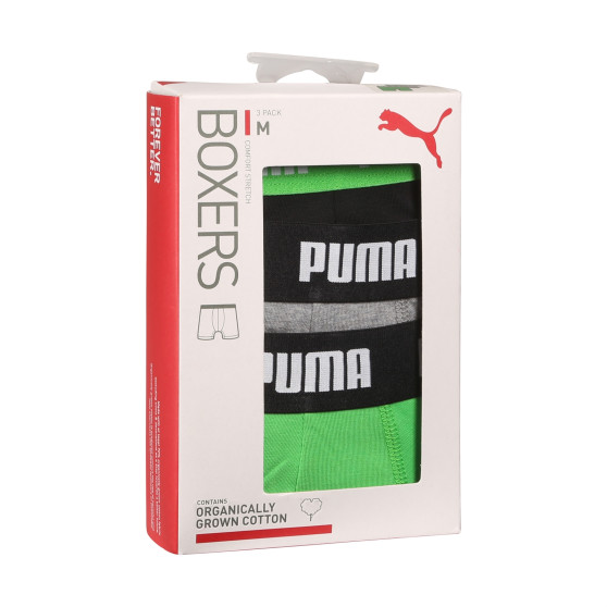 3PACK vīriešu bokseru šorti Puma daudzkrāsaini (701226820 008)