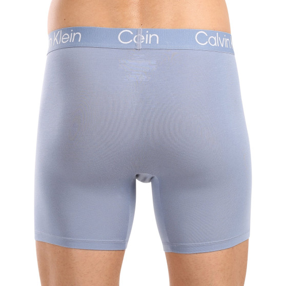 3PACK vīriešu bokseru šorti Calvin Klein daudzkrāsaini (NB3188A-PU5)