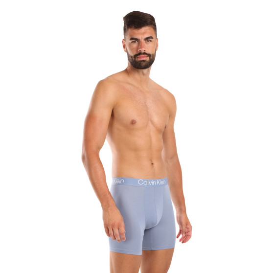 3PACK vīriešu bokseru šorti Calvin Klein daudzkrāsaini (NB3188A-PU5)