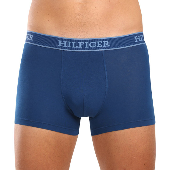 3PACK vīriešu bokseru šorti Tommy Hilfiger daudzkrāsaini (UM0UM03413 0XW)