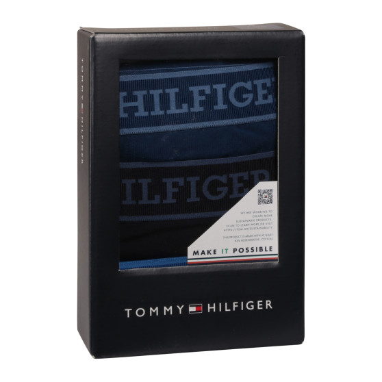 3PACK vīriešu bokseru šorti Tommy Hilfiger daudzkrāsaini (UM0UM03413 0XW)