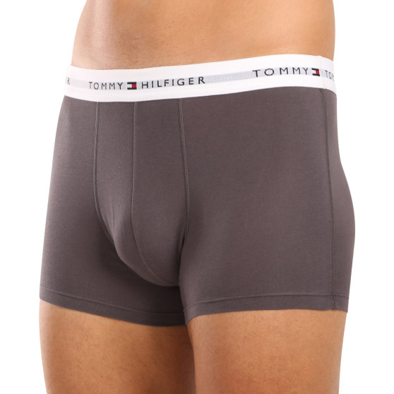 3PACK vīriešu bokseru šorti Tommy Hilfiger daudzkrāsaini (UM0UM02761 0UI)