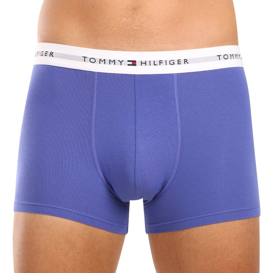 3PACK vīriešu bokseru šorti Tommy Hilfiger daudzkrāsaini (UM0UM02761 0UI)