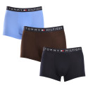 3PACK vīriešu bokseru šorti Tommy Hilfiger daudzkrāsaini (UM0UM03180 0X0)