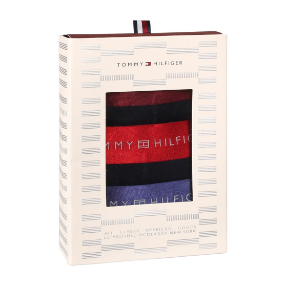 3PACK vīriešu bokseru šorti Tommy Hilfiger melni (UM0UM03411 0WP)