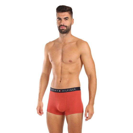 3PACK vīriešu bokseru šorti Tommy Hilfiger daudzkrāsaini (UM0UM03180 0RW)